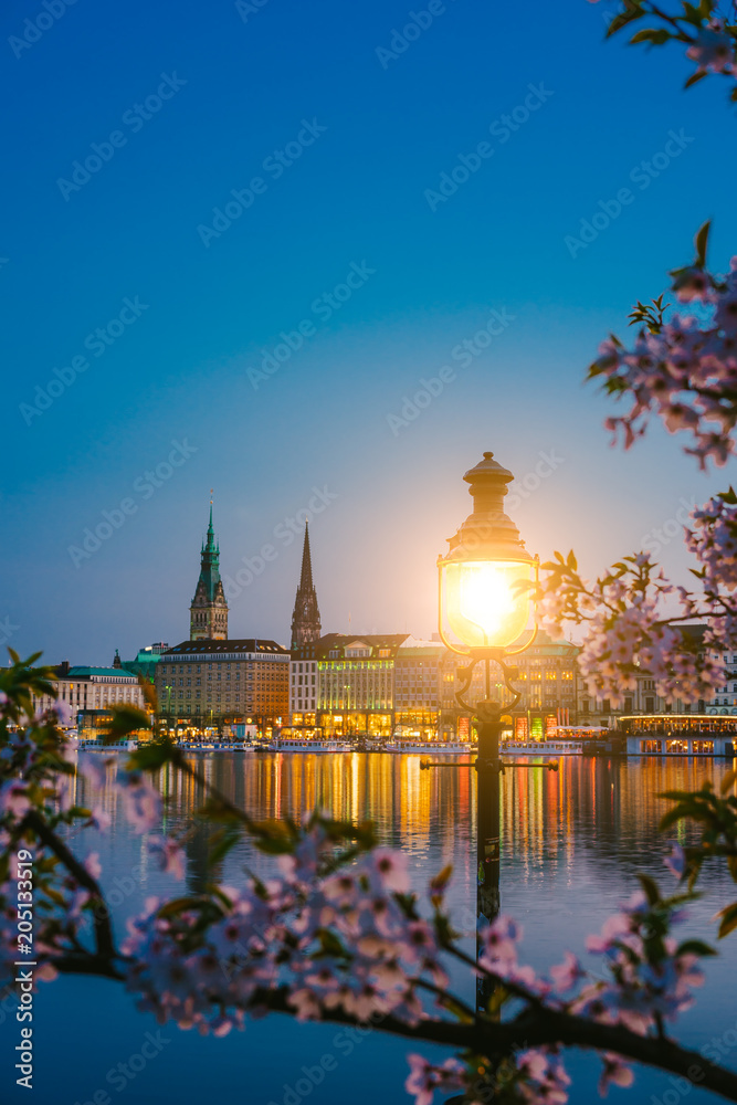 Burn lantern between branches of cherry blossom flowers on calm and beautiful Alster river and Hamburg town hall - Rathaus at spring on evening twilight just after golden hour.