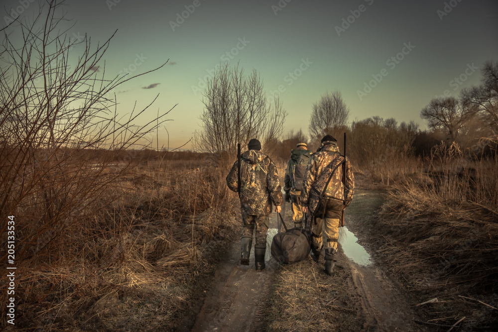 Obraz premium Group of men hunters with hunting equipment walking on country road hunting season sunset