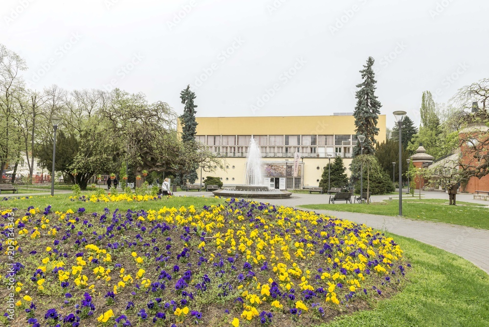 Obraz premium Vrnjacka banja city park