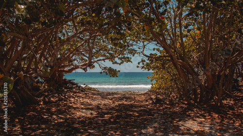 Sea in Caleta Buena photo