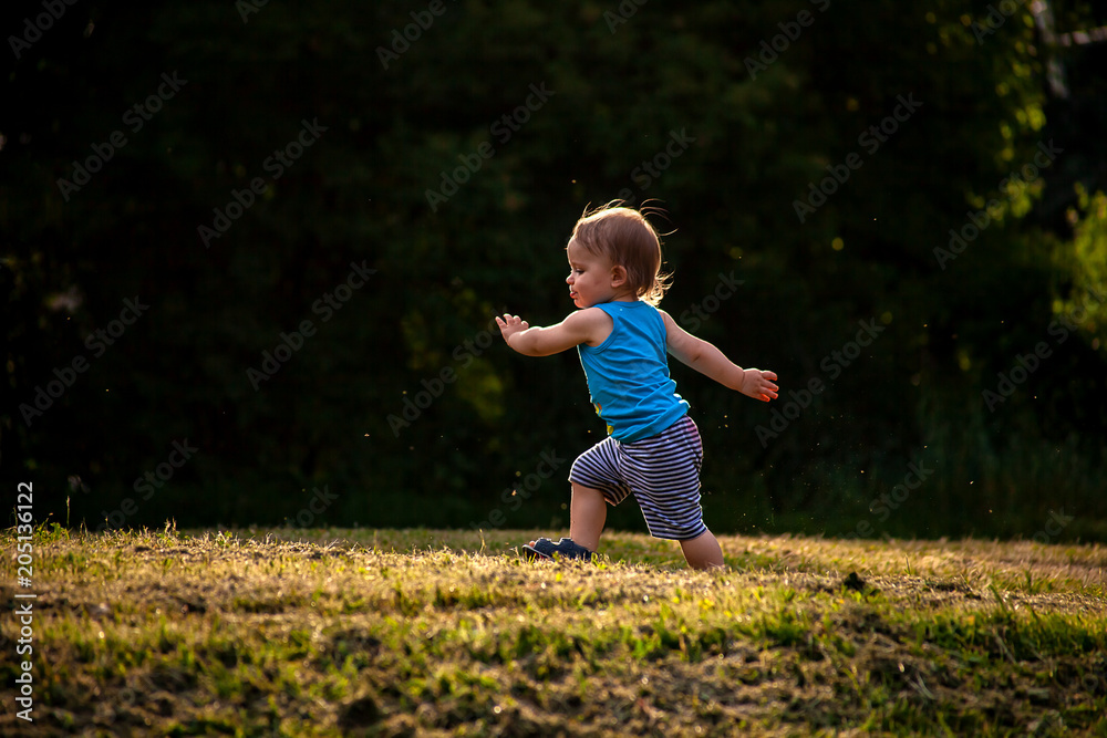 Lauf durch die Wiese
