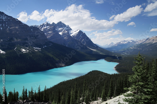 Fototapeta Naklejka Na Ścianę i Meble -  Peyto Lake