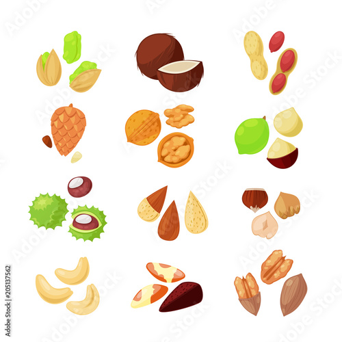 Nuts vector icons. Superfood eating cartoon style illustration