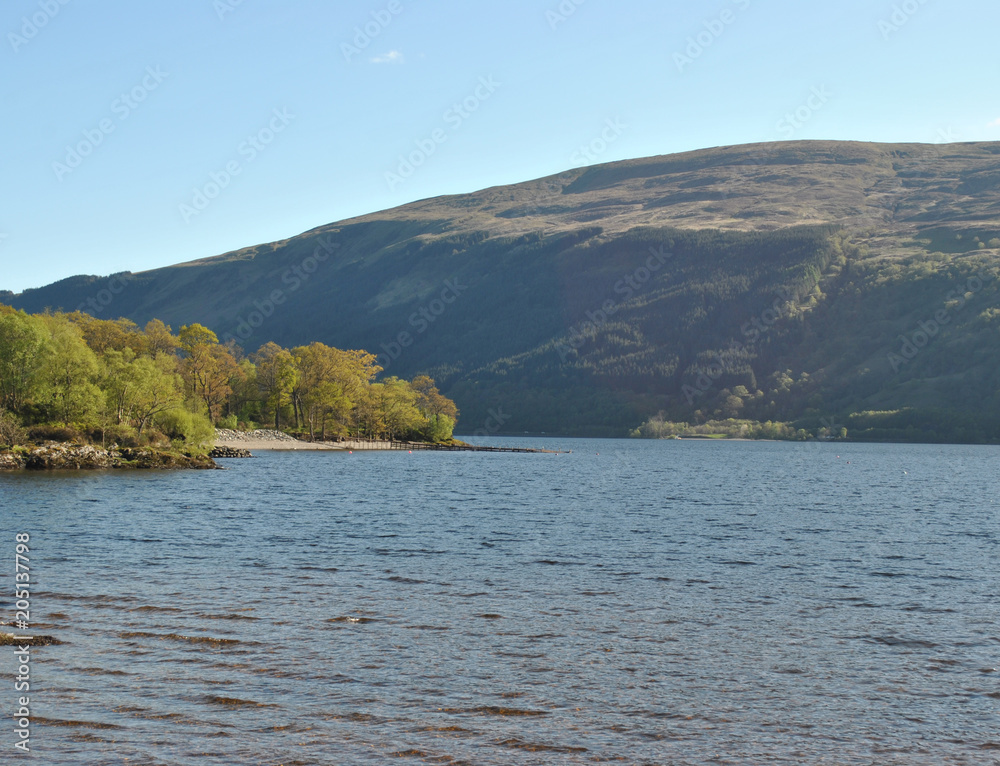 Obraz premium Rowardennan Shore