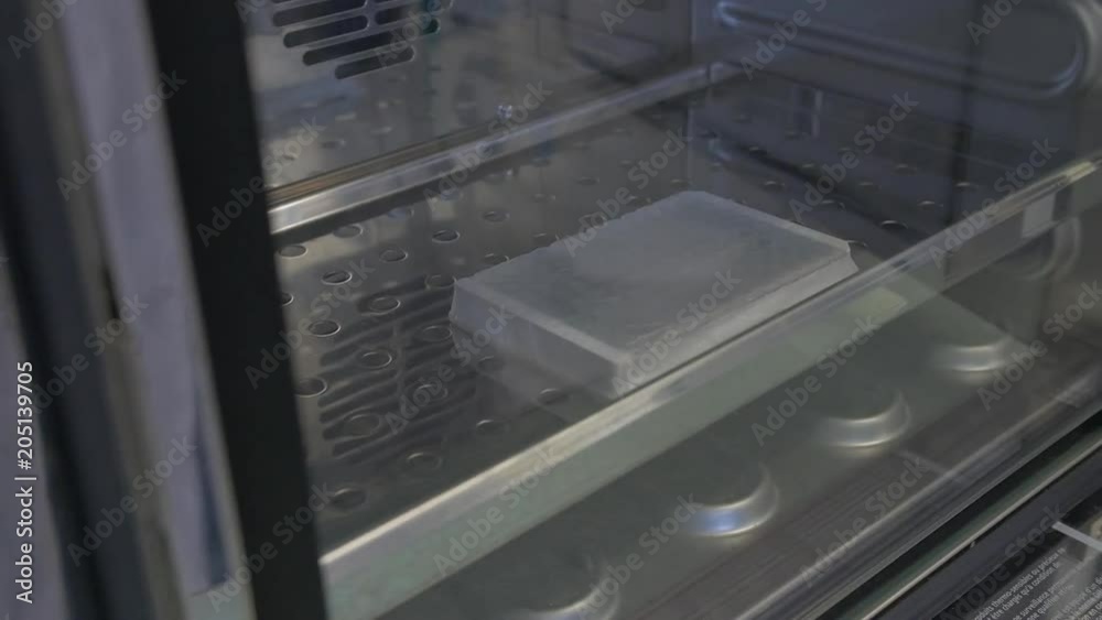 Close up, scientist places samples in storage Close up, scientist places samples in storage