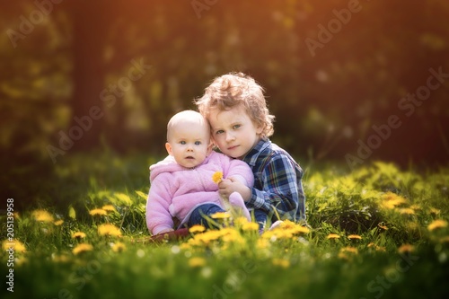 Beautiful caucasian children sitting and hugging on dandelion meadow