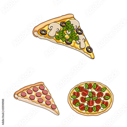 Different pizza cartoon icons in set collection for design.Pizza food vector symbol stock web illustration.