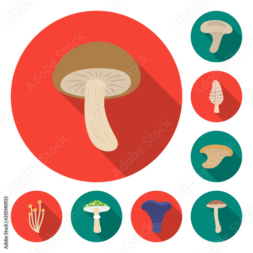 Poisonous and edible mushroom flat icons in set collection for design. Different types of mushrooms vector symbol stock web illustration. photo