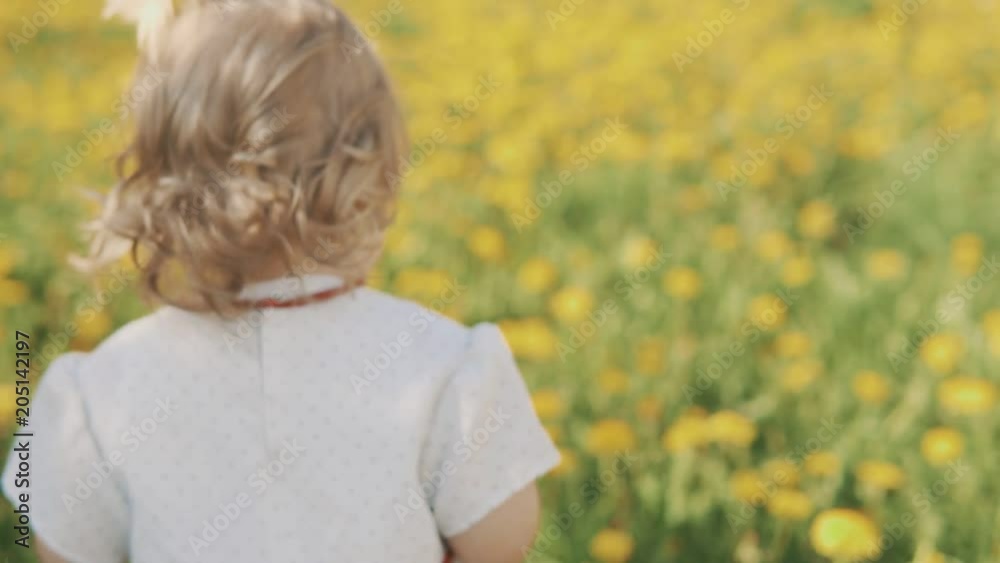 Little girl is playing in grass in slow motion. Flowers dandelions. Little girl is playing in grass in slow motion. Flowers dandelions.