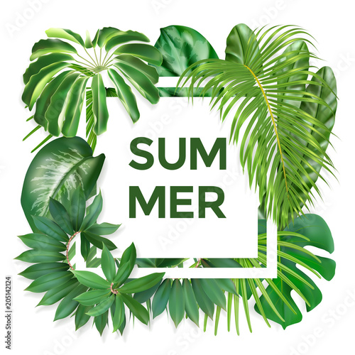 Summer typography with exotic leaves © mirrima