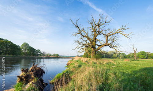 Rzeka Warta przed Poznaniem, w okolicy Rogalina photo