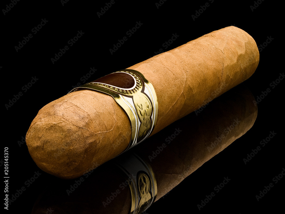 Cigar robusto a closeup a diagonal