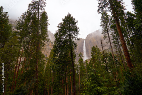 Yosemite - Tunnel View