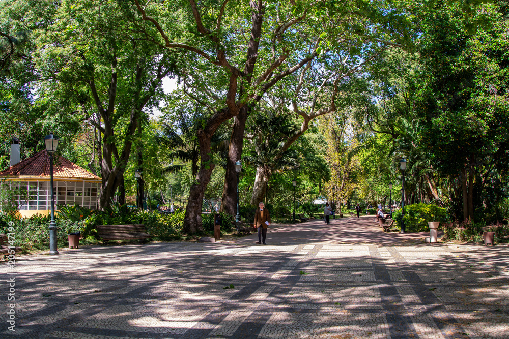 Estrela garden in Lisbon Estrela garden in Lisbon