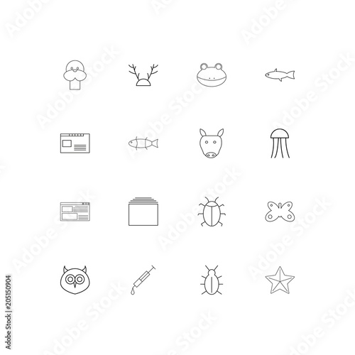 Animals linear thin icons set. Outlined simple vector icons