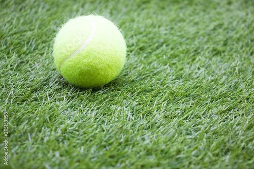 Tennis ball is on green grass © thaninee