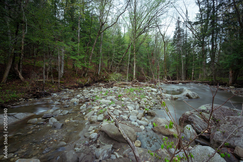 Vermont Creek