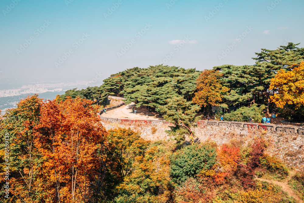 Obraz premium Namhansanseong Fortress and autumn maple trees in Gwangju, Korea