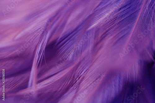 Bird and chickens feather texture for background Abstract,blur style and soft color of art design.for mobile case