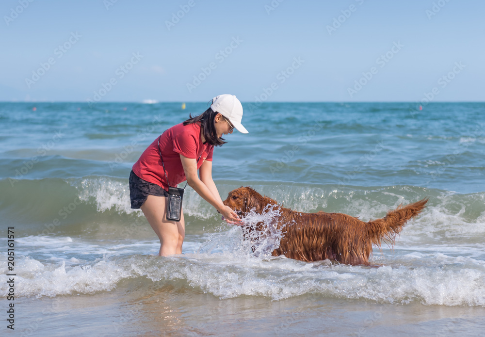 Girls and Golden Retrievers play on the beach
