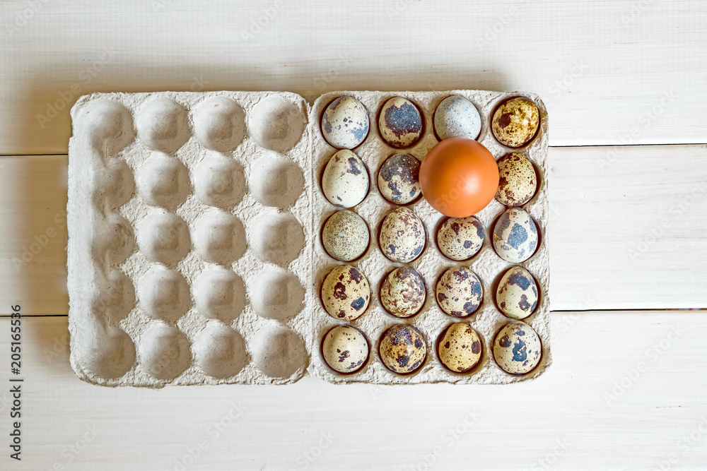 Fresh raw quail eggs in packaging on natural wooden background, close-up flat lay, copy space
Fresh raw quail eggs in packaging on natural wooden background, close-up flat lay, copy space