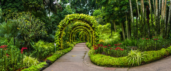 Keuken achterwand Tuin Orchideeënboog in botanische tuin Singapore  © Janelle