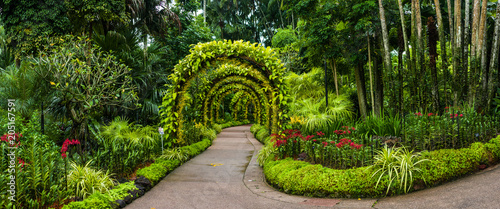 panorama, orchid arch in Singapore botanical gardens
