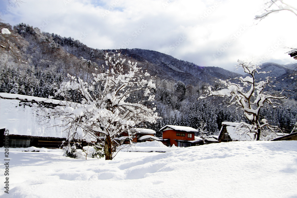 Shirakawago, Japan historic winter village. Shirakawago, Japan historic winter village.