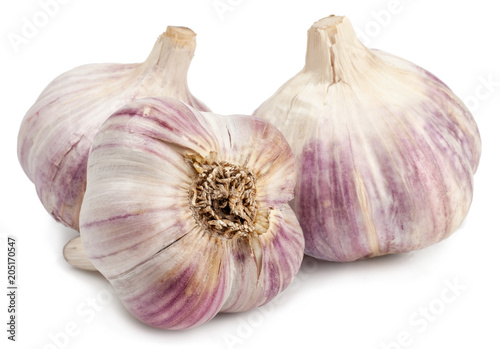 garlic on white background isolated