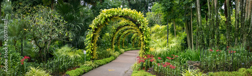 Obraz na plátne panorama, orchids in Singapore botanical gardens