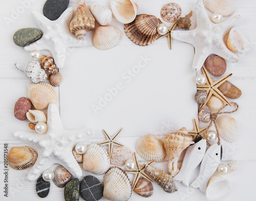Shells, seastars and a blank postcard