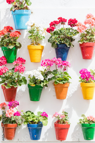 Fototapeta Naklejka Na Ścianę i Meble -  Cordoba, Spain - April 28, 2018: series of vases hanging on the wall with colorful flowers