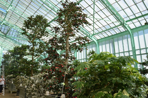 Orangerie des Serres royales de Laeken