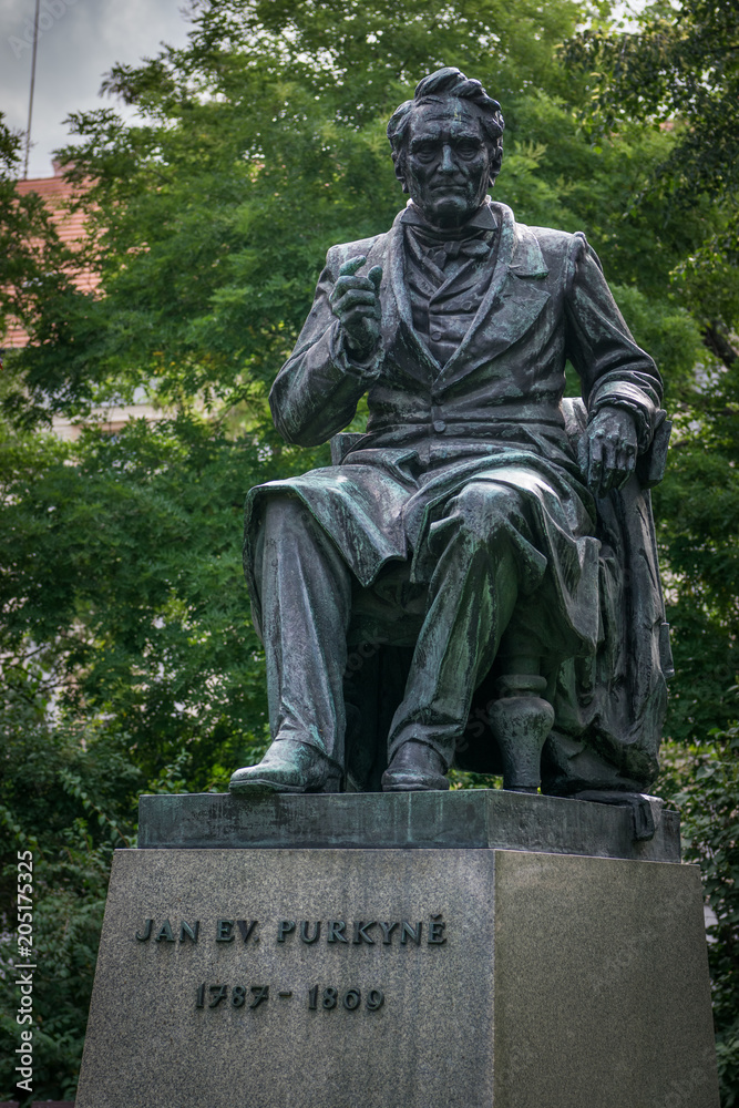 Obraz premium Statue of Johann Evangelist Purkinje