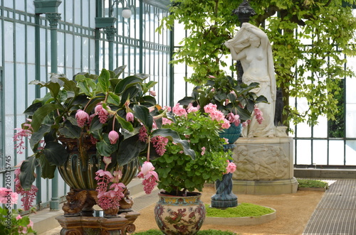 Φωτογραφία L'embarcadère - Serres royales de Laeken