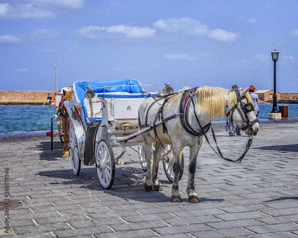 Horse cart for tourists in Xania, Crete