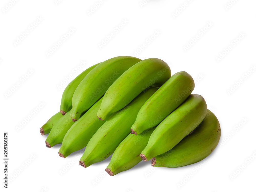 cavendish banana or bunch banana raw green. cavendish banana or bunch banana raw green.