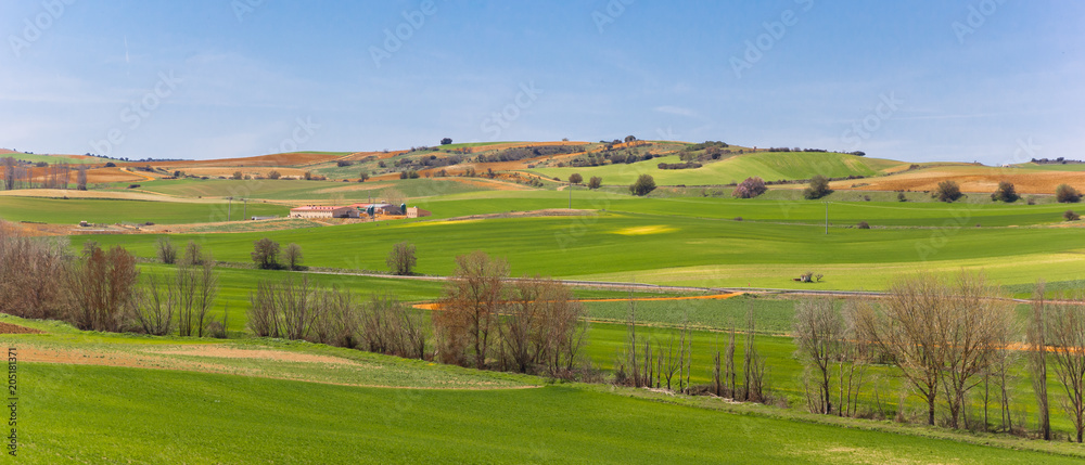Landscape of Castilla y Leon close to Salamanca, Spain