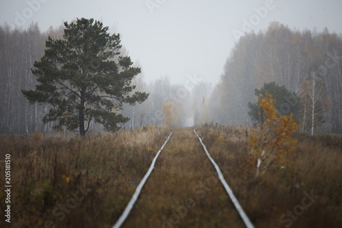 old railroad overgrown with grass. Fog, autumn.