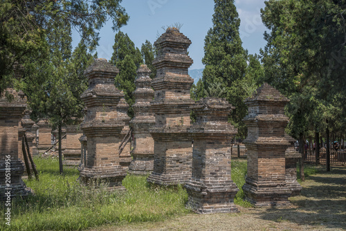 Forest pagodas of the Shaolin Monastery.