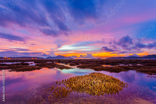 Fototapeta Naklejka Na Ścianę i Meble -  scenery sunrise above the coral reef during low tide in Phuket island. during low tide we can see a lot of coral reef and marine fishes around Rawai beach