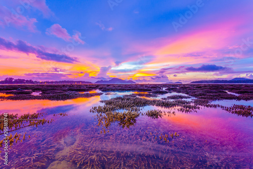 scenery sunrise above the coral reef during low tide in Phuket island. during low tide we can see a lot of coral reef and marine fishes around Rawai beach