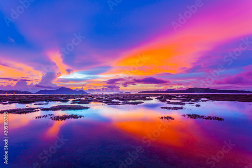 Fotografie, Obraz scenery sunrise above the coral reef during low tide in Phuket island