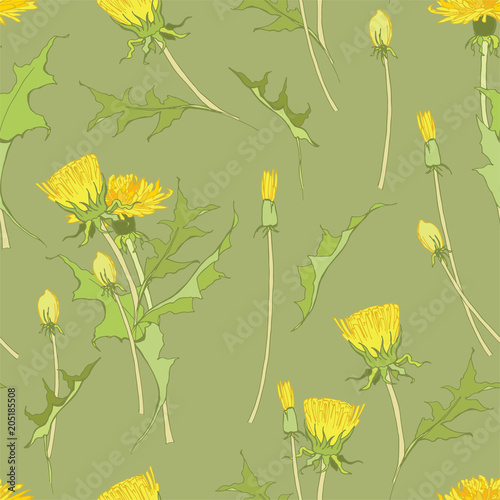 Fototapeta Naklejka Na Ścianę i Meble -  Yellow dandelions. Medicinal plant. Spring flowers. Taraxacum
