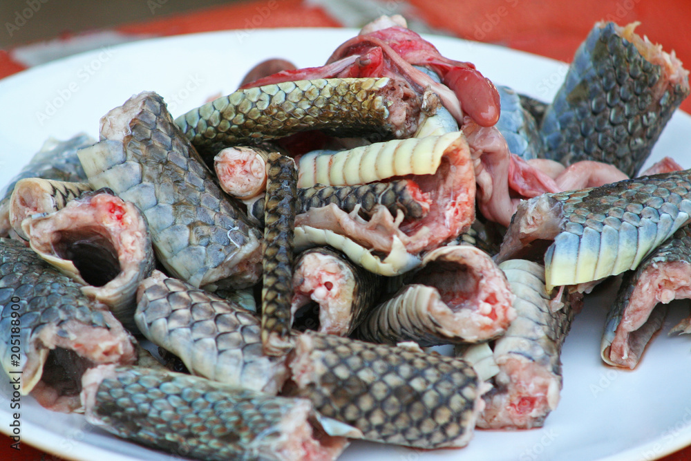 Slice of snake meat on dish (indochinese rat snake),Prepared for cooking  Stock Photo | Adobe Stock