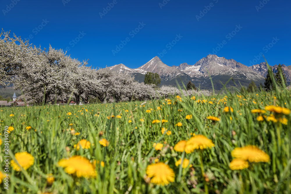 High Tatras during spring time in Slovakia