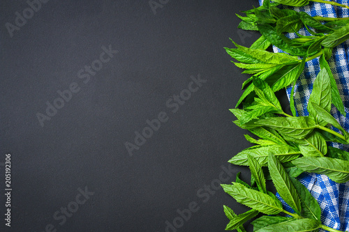 Fresh homemade green peppermint on a gray dark concrete table. top view