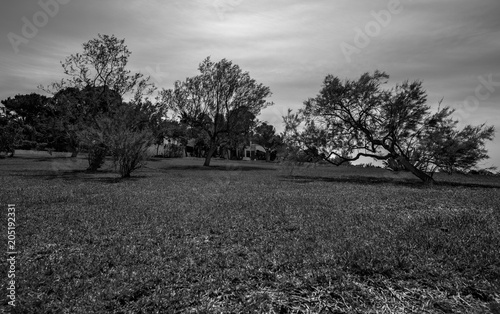 Wallpaper Mural Costa de Porto Colom, Mallorca Torontodigital.ca