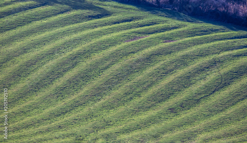 English countryside with low sun showing medieval ridge and furrow field system photo