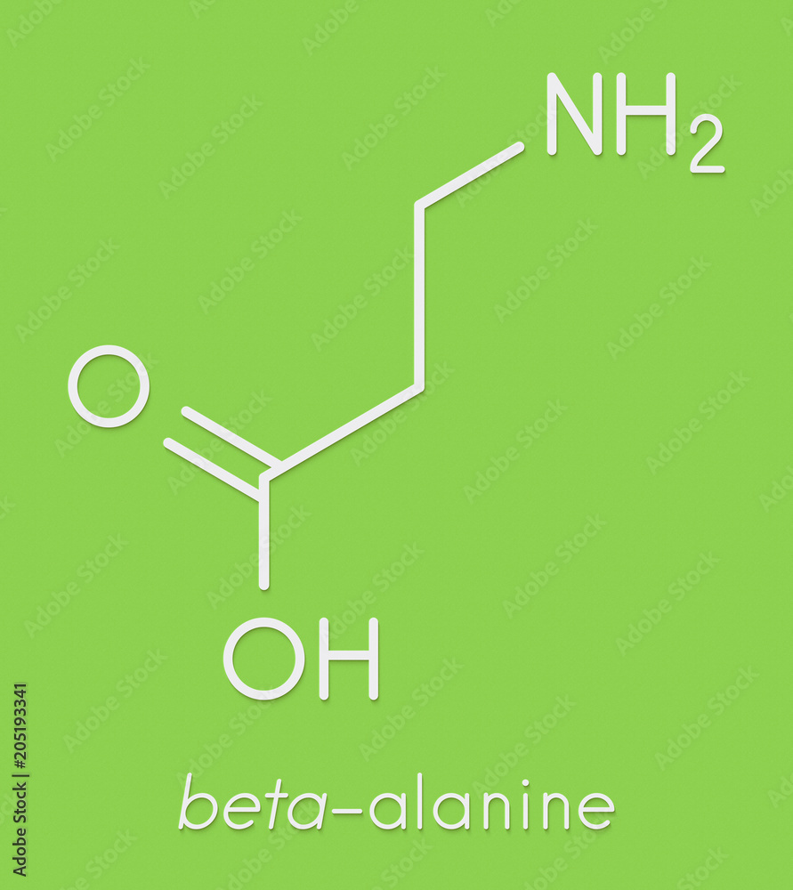 Betaalanine molecule. Naturally occurring beta amino acid. Precursor